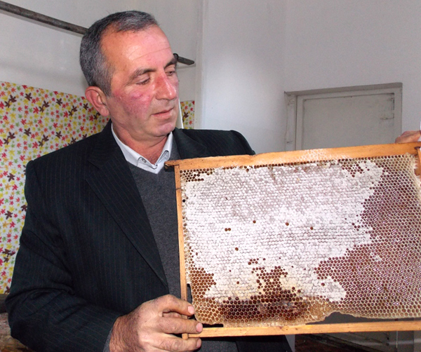 Сюникский мед занял во Франции первое место и был признан экологически чистым