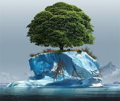 «Новая климатическая норма» представляет серьезную угрозу процессу развития, говорится в докладе Всемирного банка