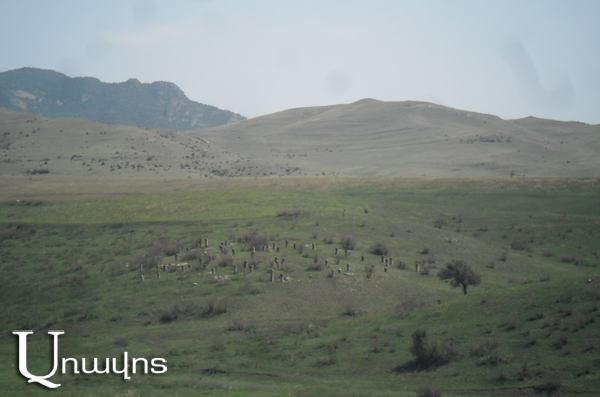Диверсанты вывели овец в Азербайджан?
