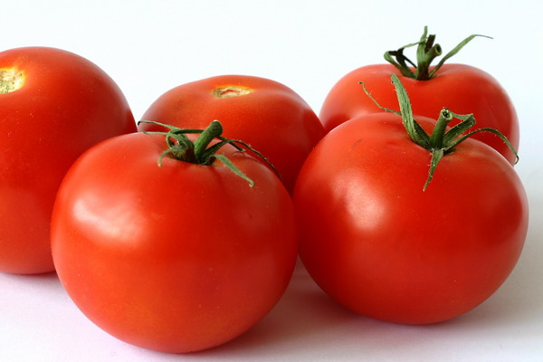 В России нашли «центральноамериканскую моль» в армянских помидорах и 22 тонны вернули в Армению