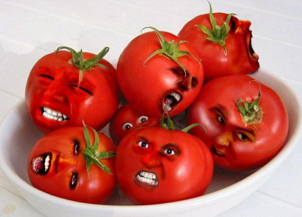Россельхознадзор извиняется: помидоры с «центральноамериканской молью» – не из Армении