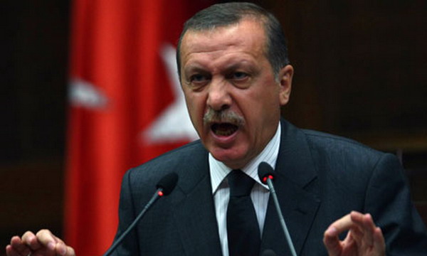 Скандальное заявление Эрдогана о «неуважении и неприятии» решения КС Турции возмутило оппозицию