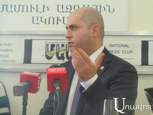 Армен Ашотян призывает не превращать в «жевательную резинку» тему Эрмине Нагдалян