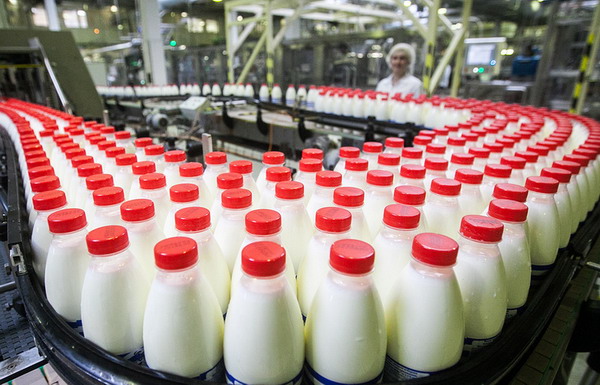 Молоко в России подделывают, подмешивая мел, борную кислоту и гипс: Россельхознадзор