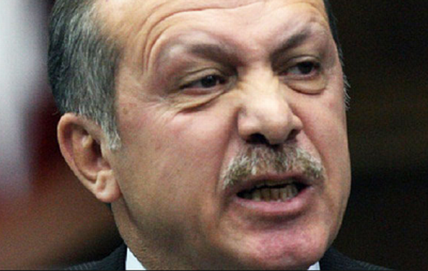 Эрдоган: «В истории Турции не было ничего, за что стоило бы стыдиться»