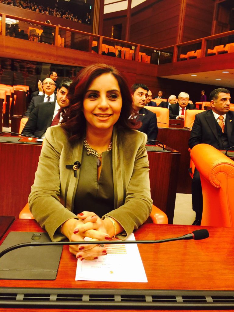 Какую Турцию хочет передать сыну в наследство турецкий депутат армянского происхождения