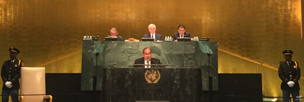 Заседание Генассамблеи ООН прошло под председательством главы МИД Армении