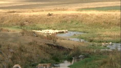 Сточные воды смешиваются с рекой Раздан, они подпитывают поля, эту воду пьет скот»: видео