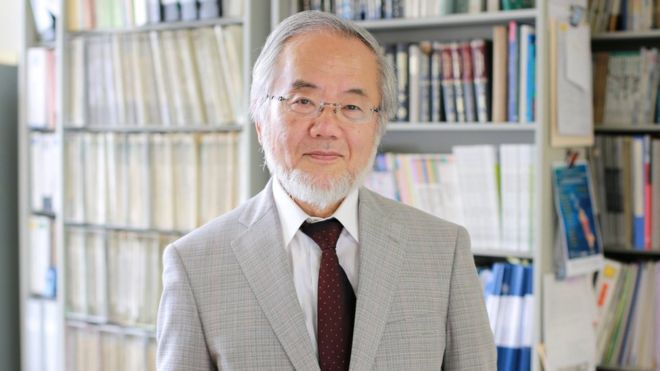 Японец Йоcинори Осуми – лауреат Нобелевской премии в области медицины и физиологии