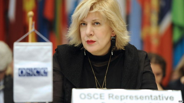Представитель ОБСЕ по вопросам свободы СМИ Дунья Миятович – о ситуации вокруг блогера Лапшина