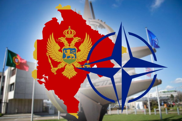 Вступление Черногории в НАТО – это сигнал, что двери альянса открыты: председатель ПА НАТО