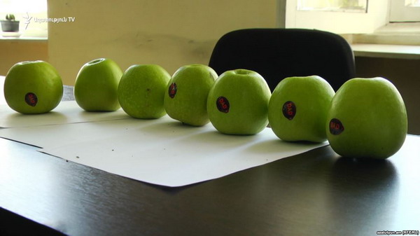 СНБ выявила предположительный круг лиц, импортировавших в Армению азербайджанские яблоки: Радио Азатутюн