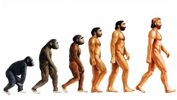Теория эволюции Дарвина названа «спорной» и выброшена из учебников в Турции