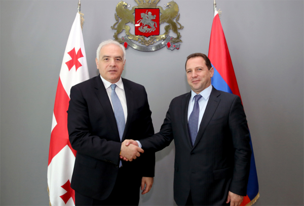 Глава МЧС Давид Тоноян с двухдневным визитом посетил Грузию