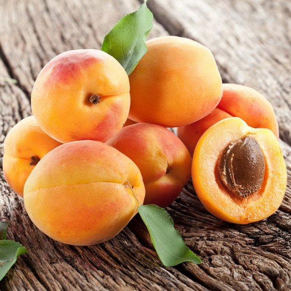 Объем экспорта абрикоса из Армении достиг семилетнего рекорда