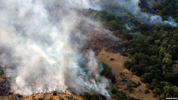Глава села Урцадзор не исключает, что причинa возникновения пожара в Хосровском заповеднике — человеческий фактор