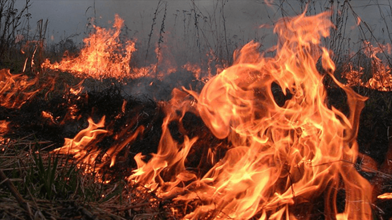 Крупный пожар близ села Артаван в Вайоц дзоре потушен: МЧС Армении
