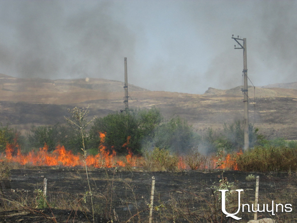 В Тавуше в результате пожара пострадали поля и сады: фоторяд