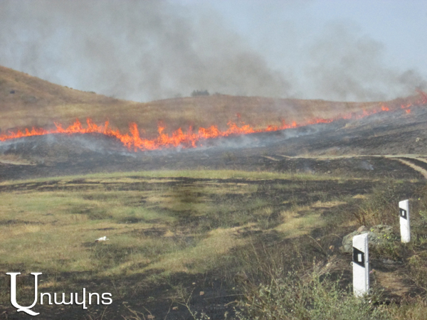 Пожары на границе в окрестностях села Воскепар: фоторяд