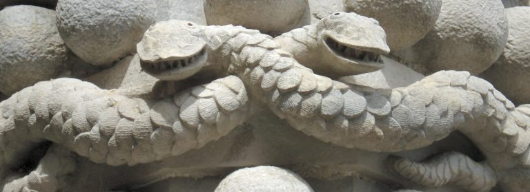 Гюрза, шахмар и полоз в Ереване: змеи перевезены в безопасные места