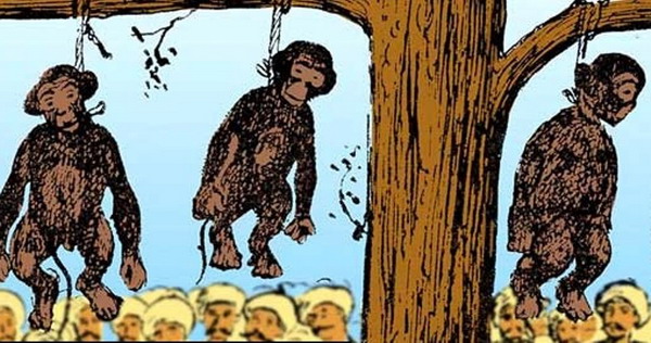 Турецкие СМИ — о массовом повешении обезьян в Османской империи при султане Мураде III
