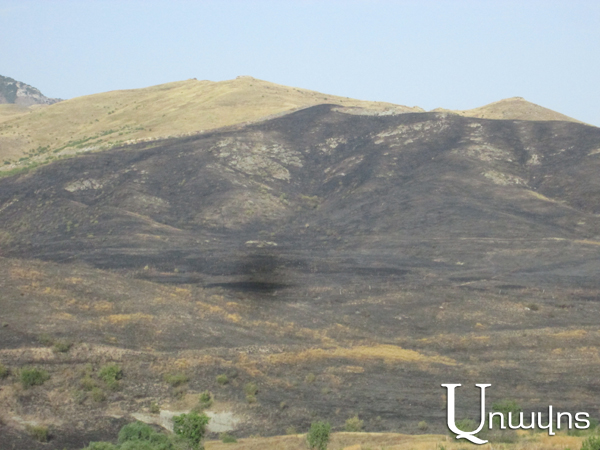 Из-за азербайджанских обстрелов вся приграничная зона в Тавуше выгорела и почернела: фоторяд