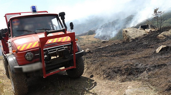 Близ села Бюракан вспыхнул пожар, сгорело около 20 гектаров растительного и лесного покрова