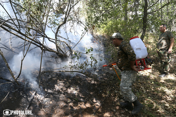 Маловероятно, что, покинувшие места пожарищ животные начнут заходить на жилые территории: «Айкакан жаманак»