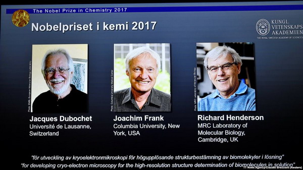 Трое химиков получили Нобелевскую премию за разработку криоэлектронной микроскопии