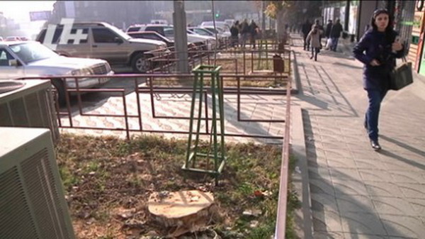 Мэрия Еревана вырубила деревья и заменила их новыми саженцами: «A1+»