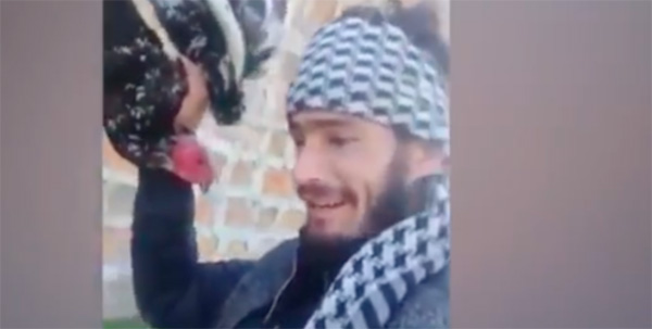 Покровительствуемые Эрдоганом силы грабят в сирийском в Африне дома жителей: видео