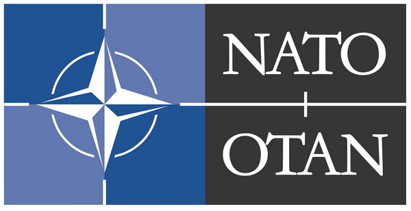 Блок НАТО признал за четырьмя государствами статус «страны-аспиранта»: Босния, Македония, Грузия, Украина