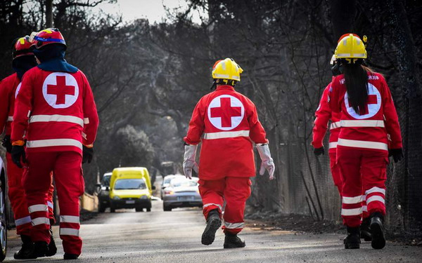 Число жертв лесных пожаров в Греции достигло 88