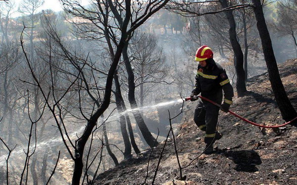 Число погибших в результате лесных пожаров в Греции возросло до 83