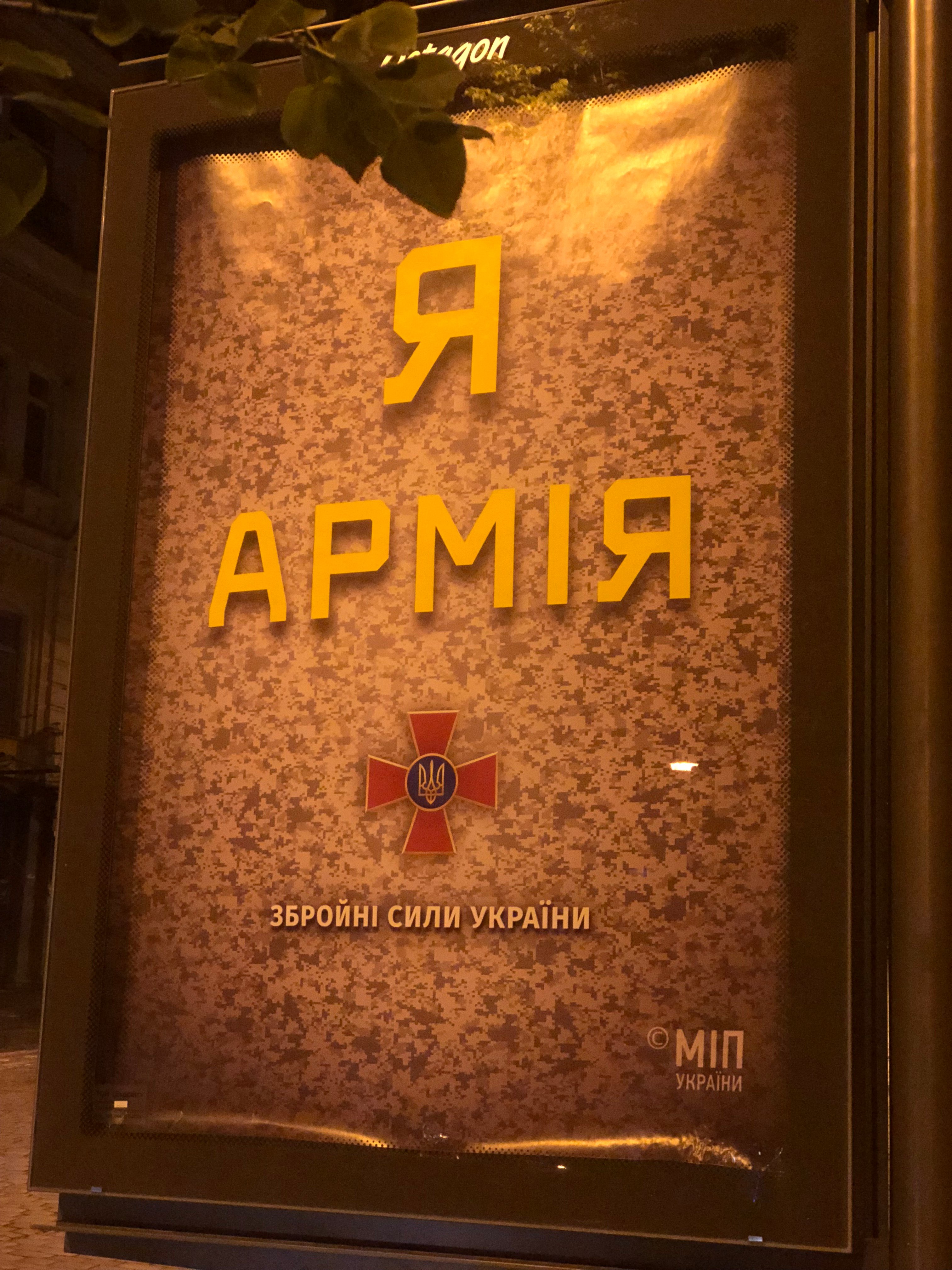 Украинская «Нация-Армия»