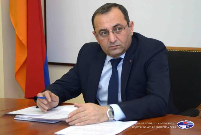 Арцвик Минасян: экономические отношения Армения-США находятся на качественно новом уровне