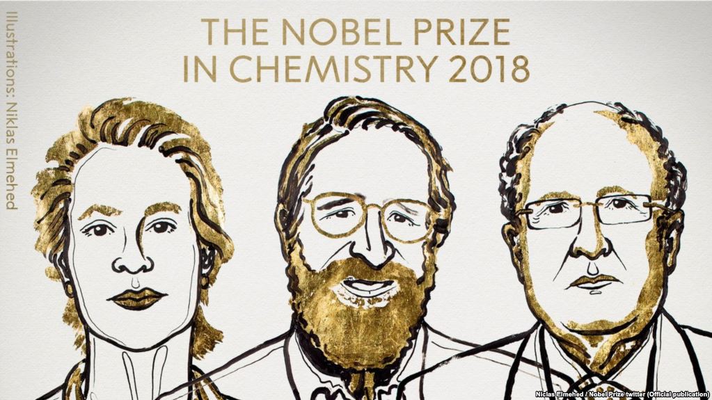 Фрэнсис Арнольд, Джордж Смит и Грегори Уинтер — лауреаты Нобелевской премии по химии за «революцию с помощью эволюции»