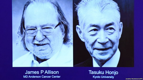 Джеймс Аллисон и Тасуко Хондзё — лауреаты Новбелевской премии по медицине и физиологии
