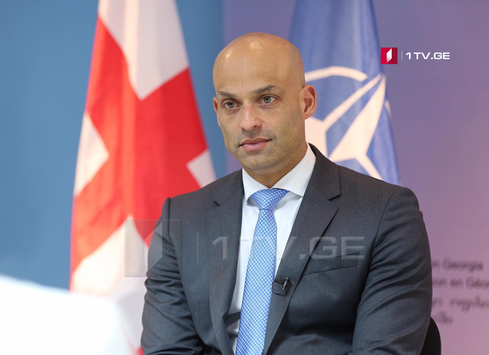 На министериале НАТО мы договоримся о новых шагах сотрудничества с Грузией, о черноморской безопасности: Аппатурай