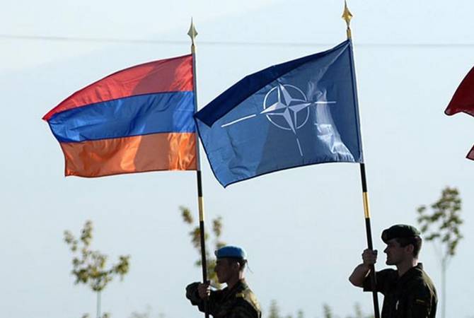 Перспектива сильной Армении исходит из интересов альянса: представитель НАТО
