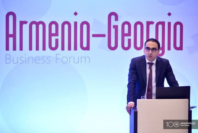 Плоды сотрудничества будут заметны в краткосрочной перспективе: Тигран Авинян на армяно-грузинском бизнес-форуме