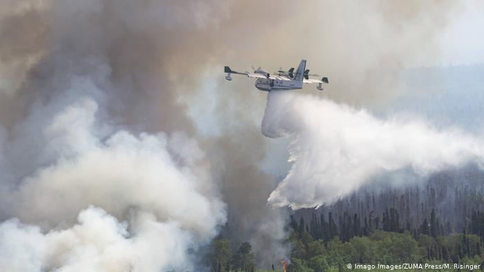 Чем так опасны для планеты лесные пожары в Сибири и на Аляске — DW