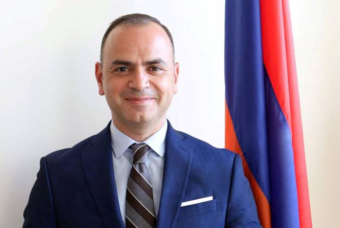 Главный комиссар по делам Диаспоры Заре Синанян с рабочим визитом отбыл в Республику Кипр