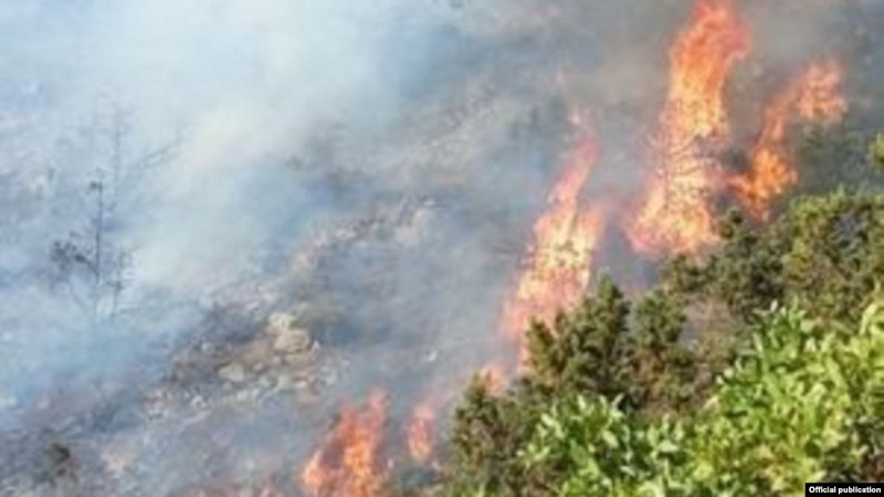 Лесной пожар в Сюнике изолирован: МЧС продолжает борьбу с огнем