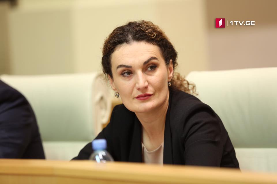 «Освобождение восьми граждан Грузии – наш главный приоритет»: грузинский министр