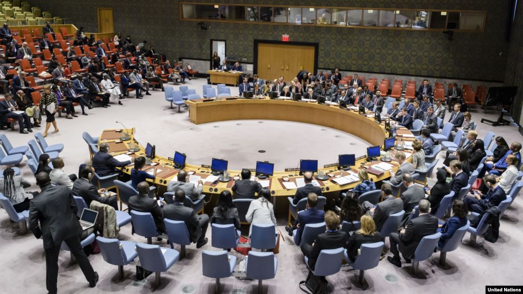 Совбез ООН не смог осудить вторжение Турции в Сирию: Россия «понимает опасения» Турции