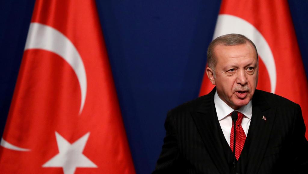 Посол Турции вызван в МИД Франции после слов Эрдогана о «смерти мозга» Макрона