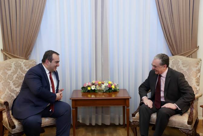 Зограб Мнацаканян положительно оценил тесное сотрудничество между МИД Армении и Грузии