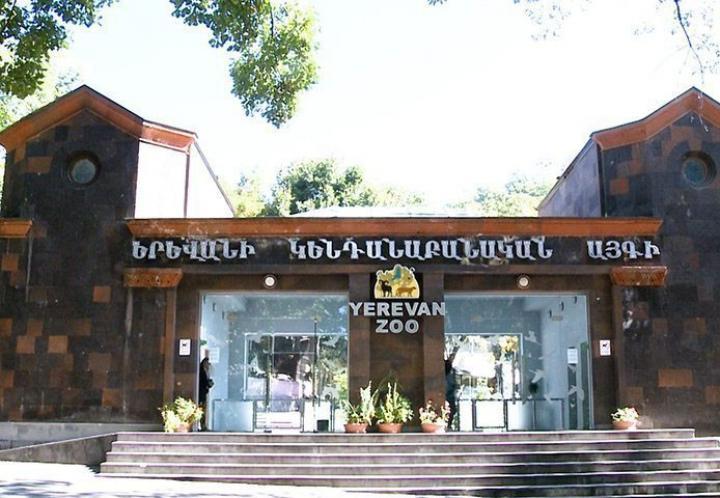 Ереванский зоопарк работает бесплатно 1-6 января