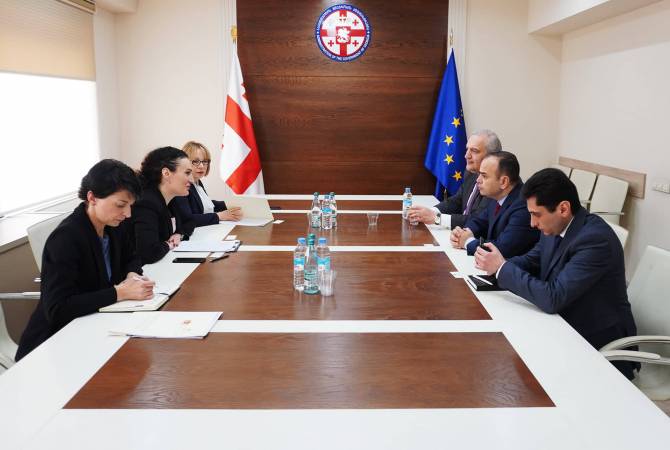 Главный комиссар по делам Диаспоры Заре Синанян провел официальные встречи в Грузии